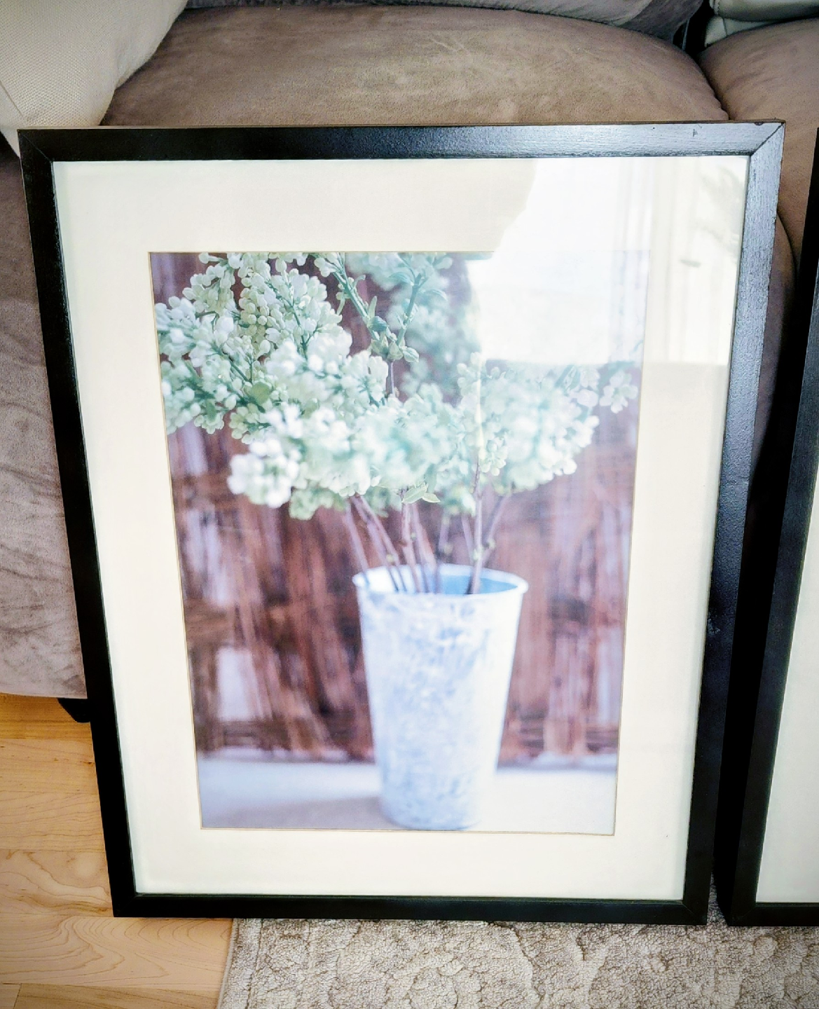 3 set Ikea decor plant photos - photo 3