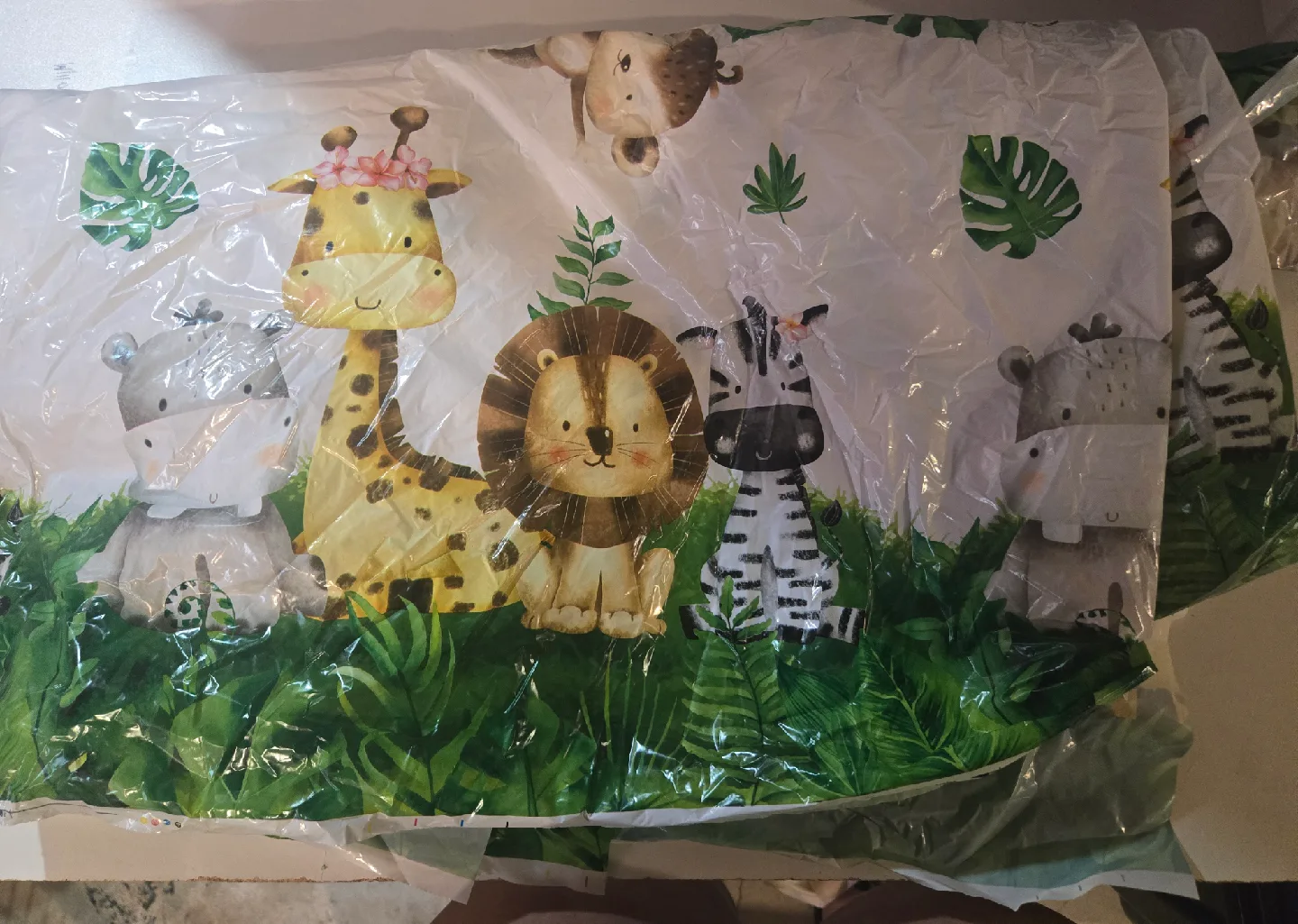 Wild One Outfit & Decorations image indicator(6)