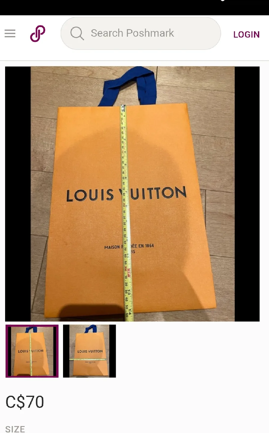 Louis Vuitton Shopping Bag image indicator(3)