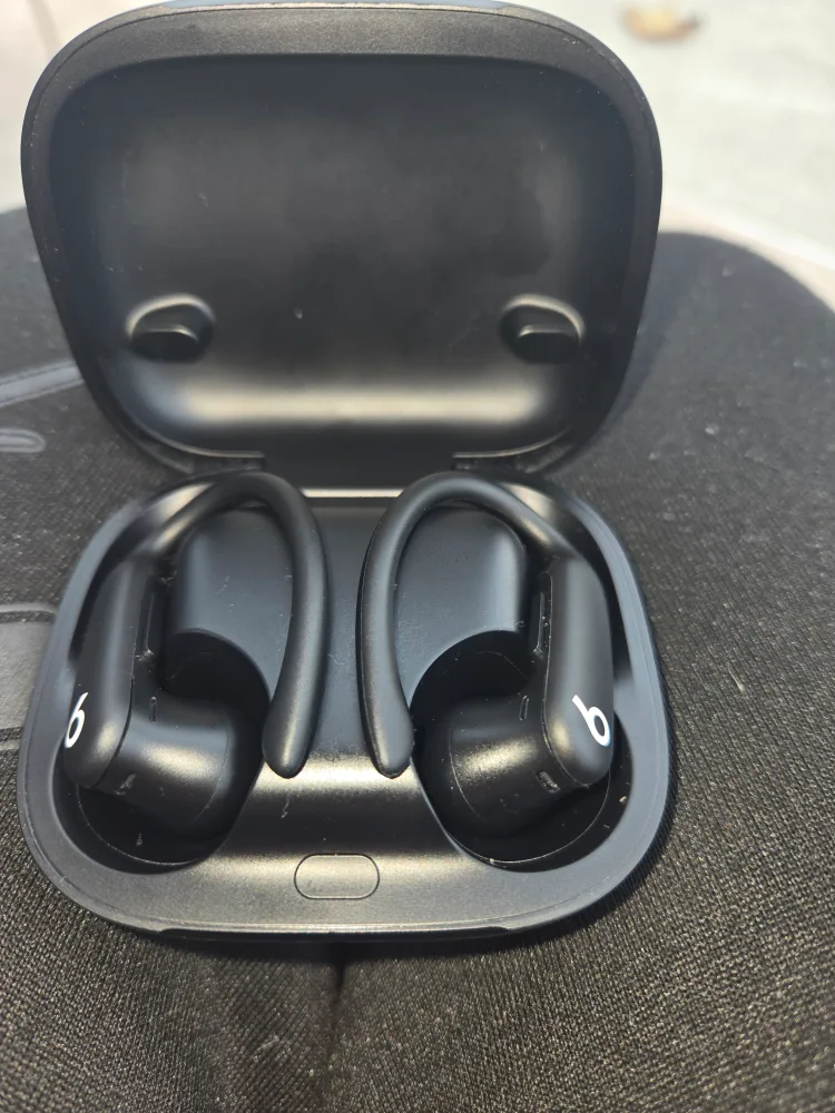 Beats Powerbeats Pro Black Wireless Earbuds image indicator(2)
