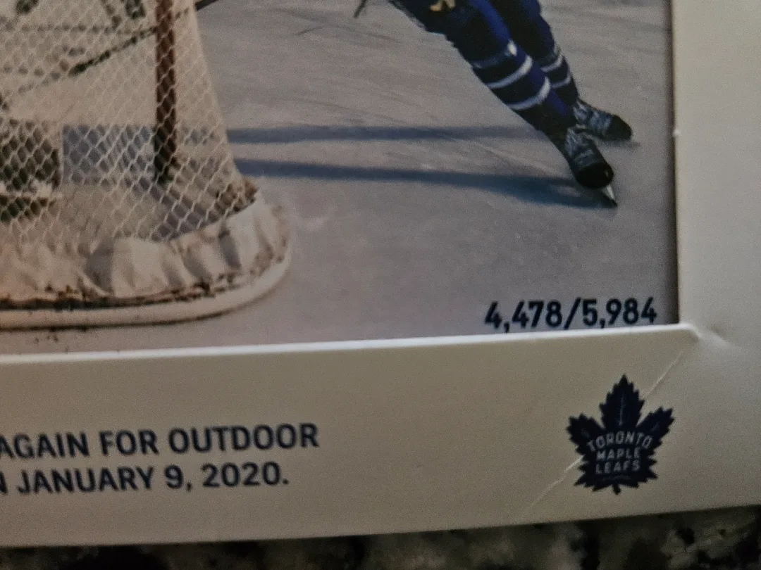 Toronto Raptors & Maple Leafs Photo Print Set image indicator(2)