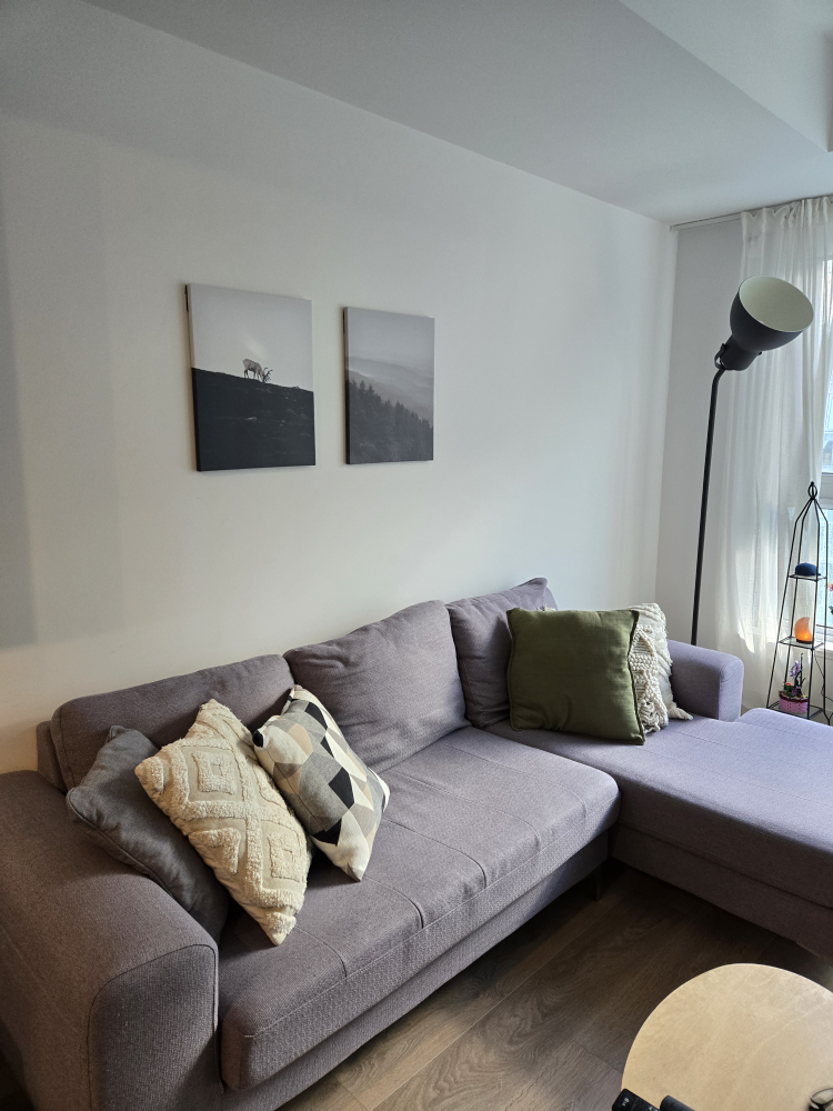 Grey L Shape Sectional Sofa - photo 4