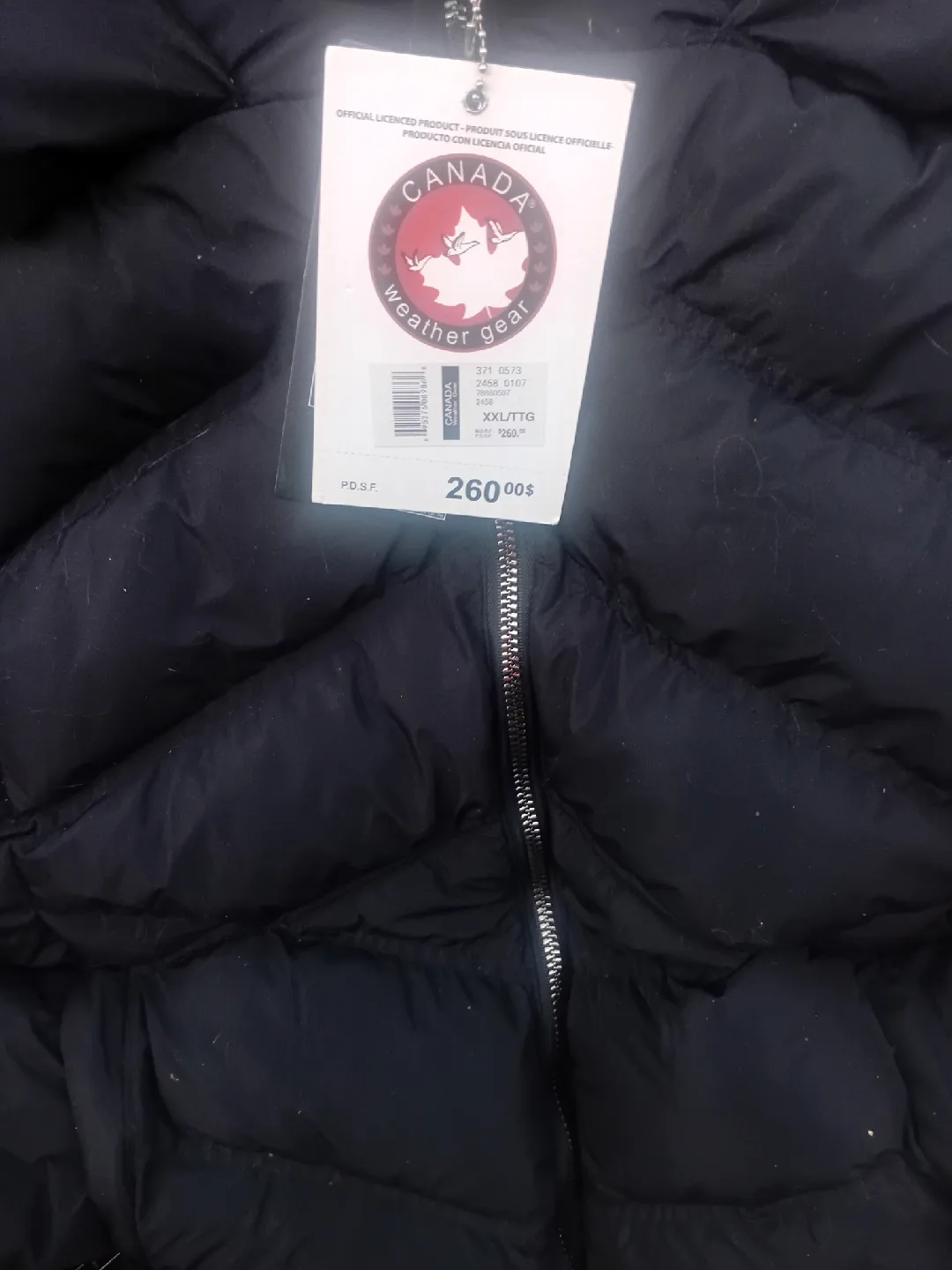 Brand New never worn Womens winter coat image indicator(2)