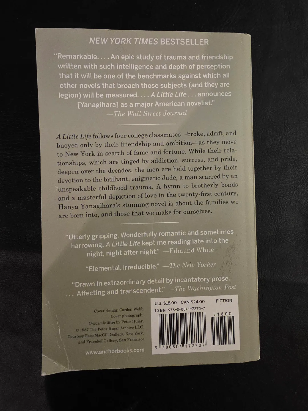 A Little Life by Hanya Yanagihara image indicator(2)