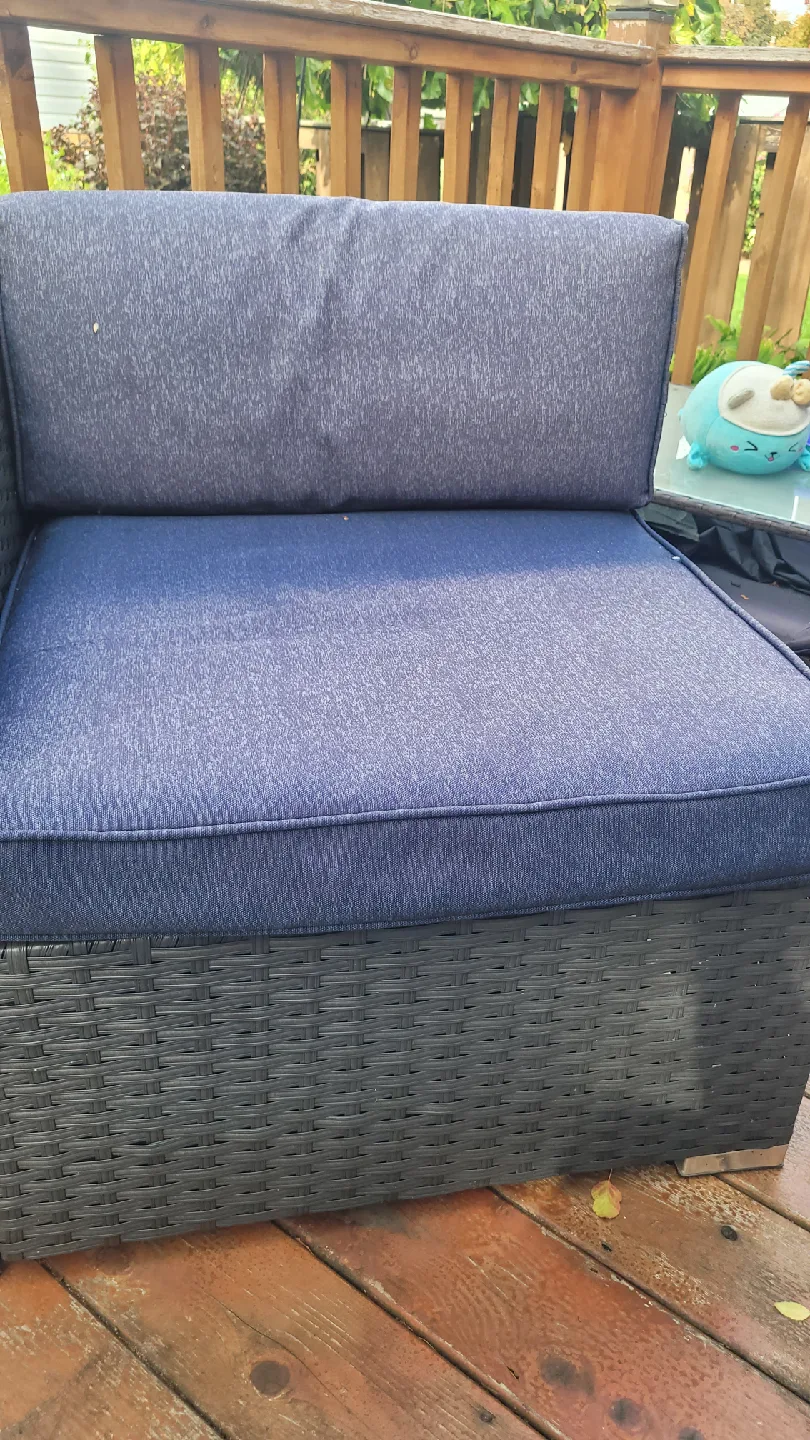 PHI VILLA 2pcs Sofa w/ Blue Cushions - Like New image indicator(2)