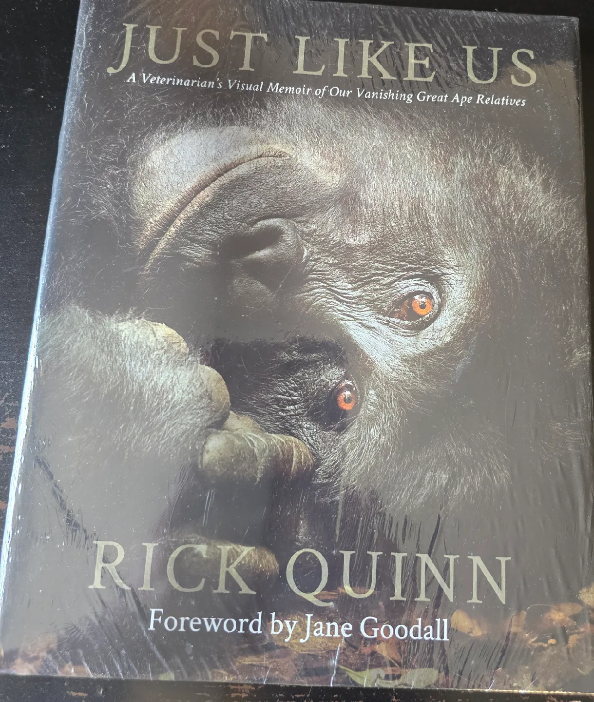Book : Just Like Us by Rick Quinn thumbnail