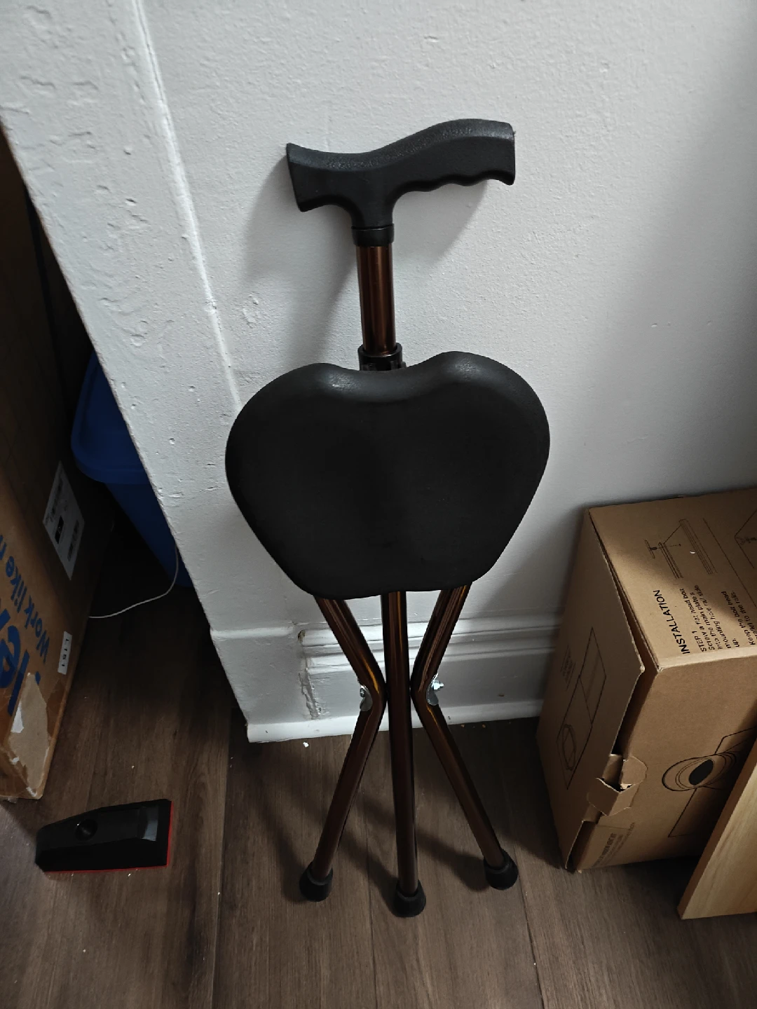 Cane Seat Walking Stick
