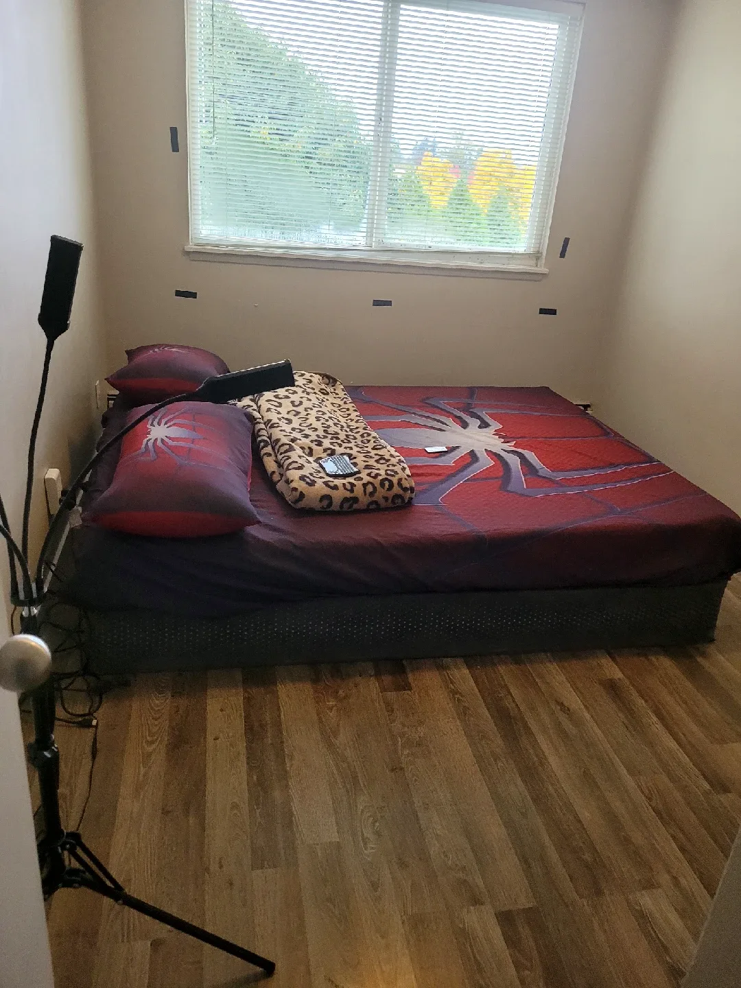 1 bedroom for rent in a 3 bedrooms apartment image indicator(5)