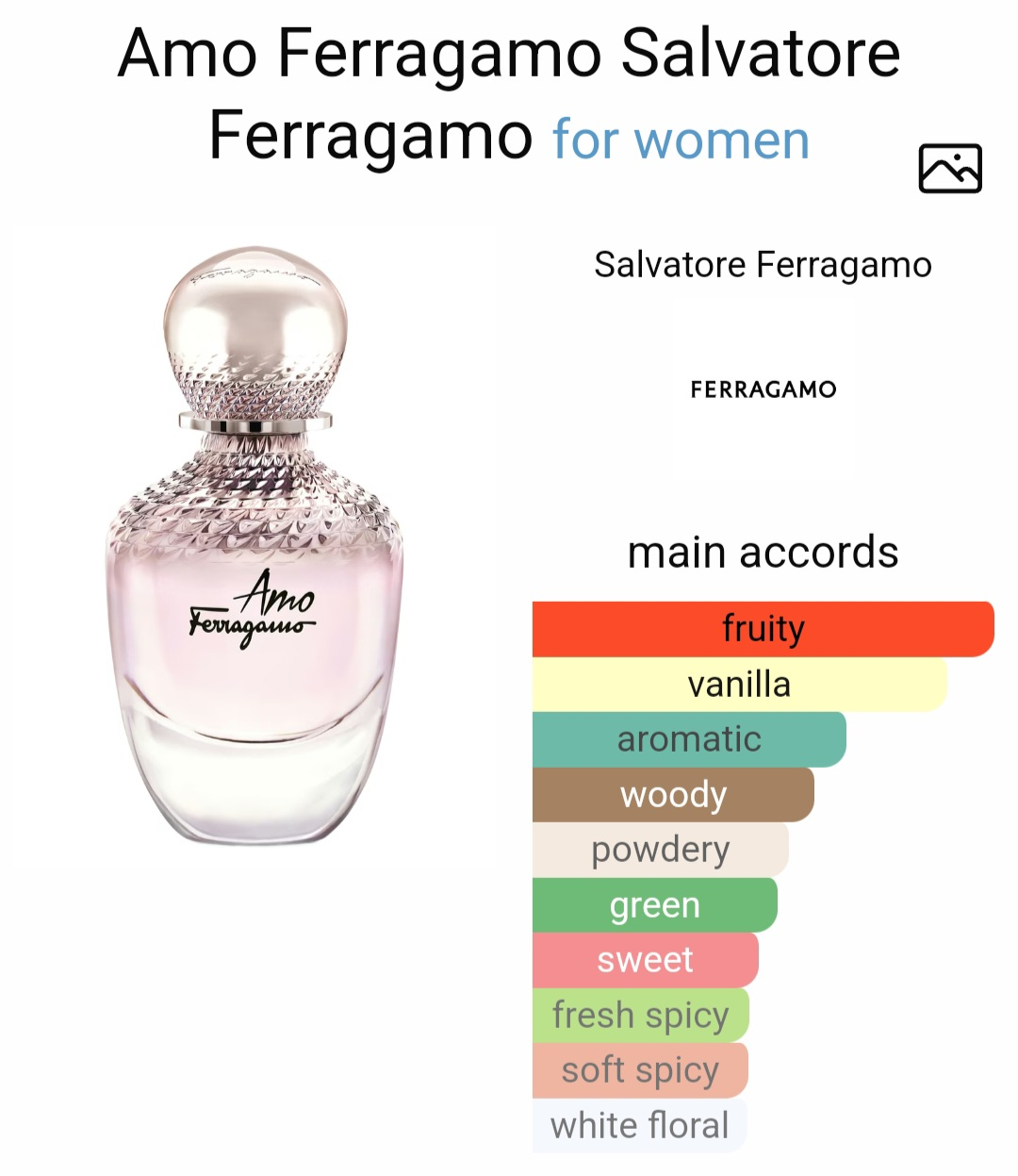 Salvatore Ferragamo Amo Ferragamo - photo 3