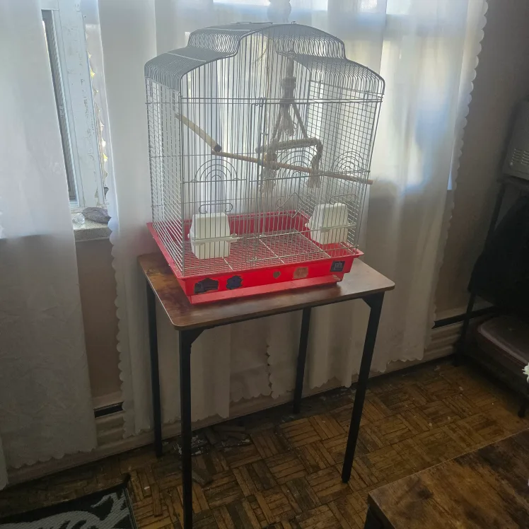 Bird Cage with table stand thumbnail