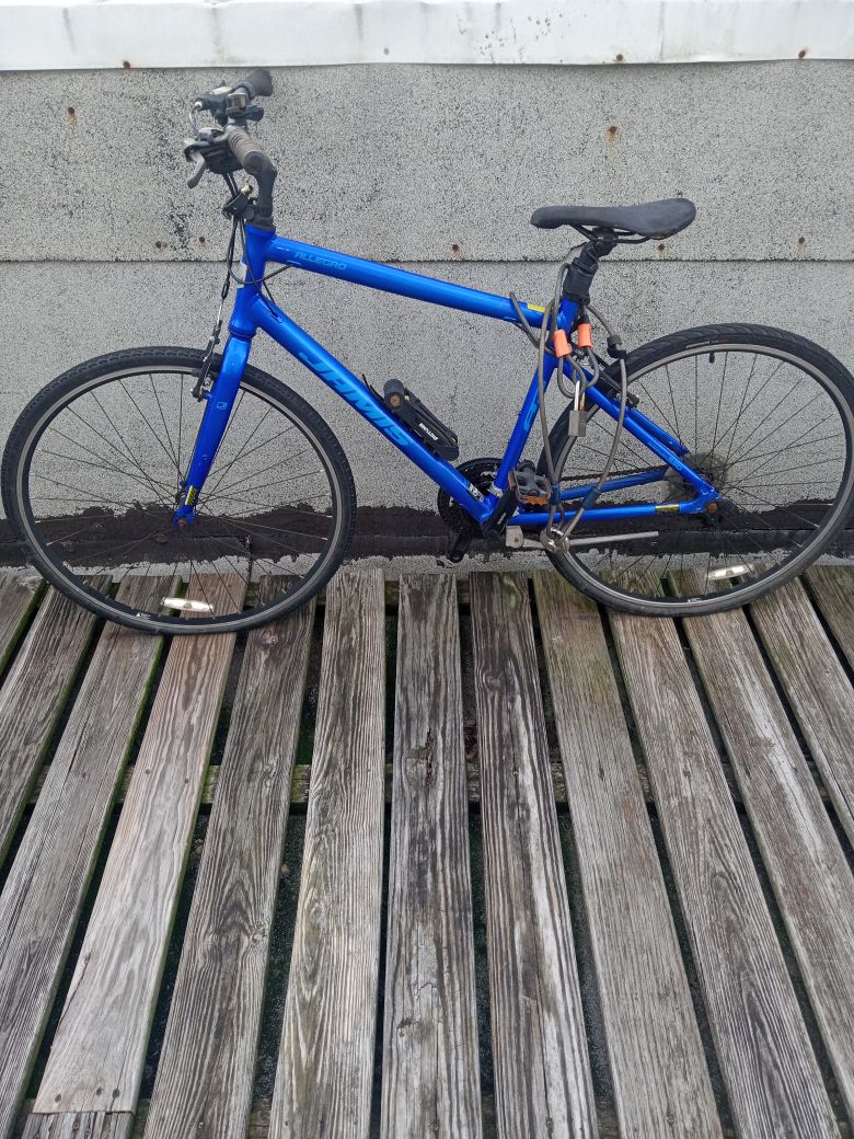 Jamis Allegro hybrid Road Bike - Blue