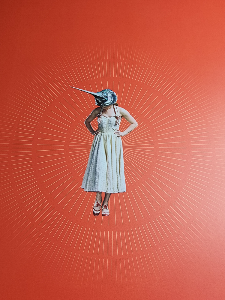 Cirque du Soleil Luzia Souvenir Program - photo 5