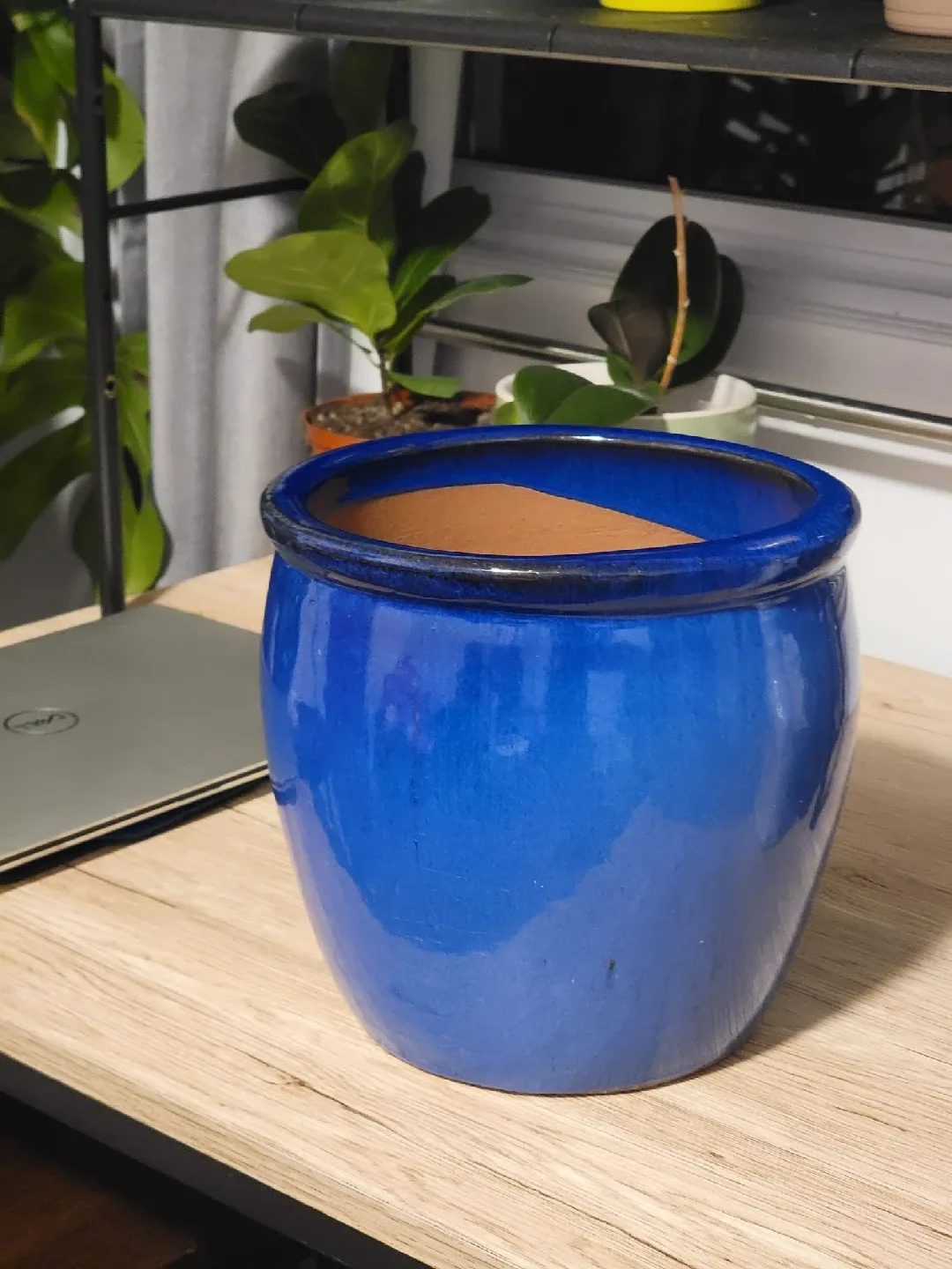 Blue Frost Resistant Pot