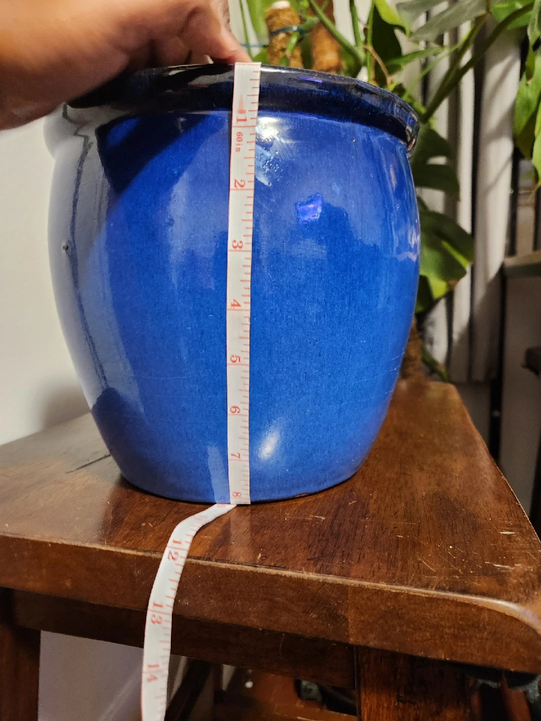 Blue Frost Resistant Pot - photo 3