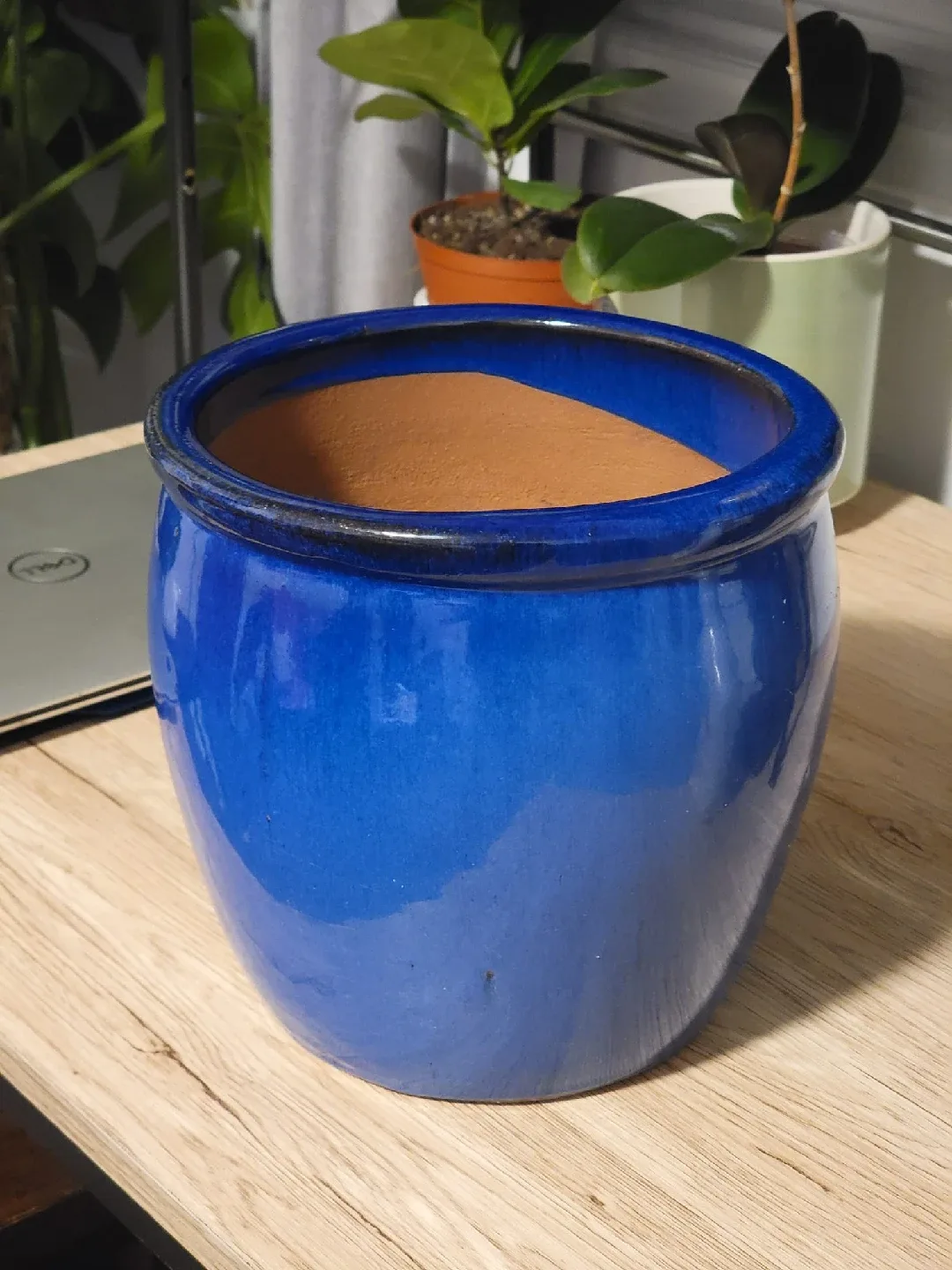 Blue Frost Resistant Pot image indicator(6)