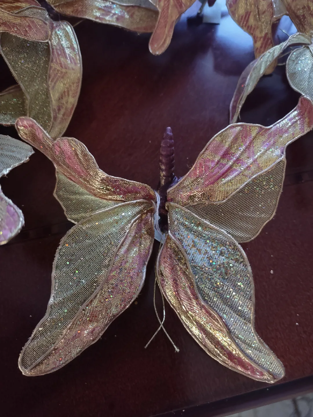 butterfly thumbnail