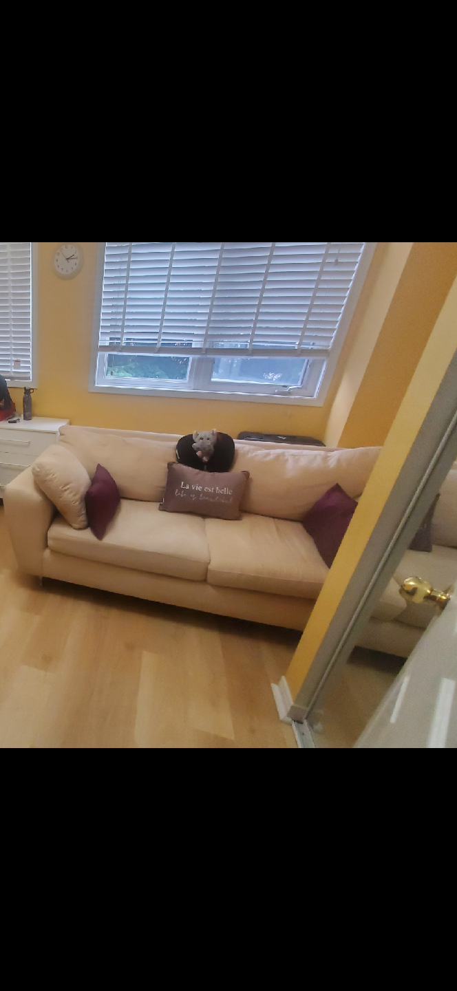 Beige Sofa - FREE - photo 2