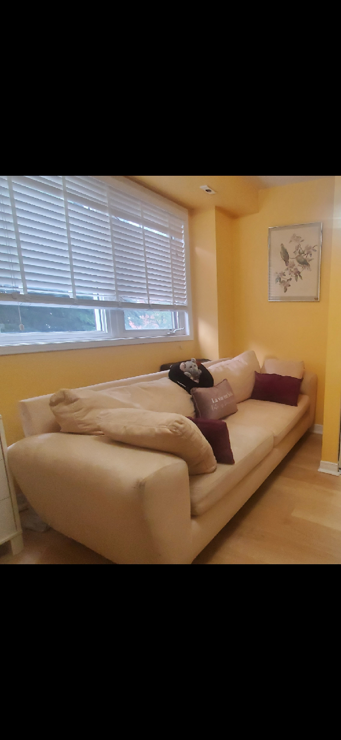 Beige Sofa - FREE