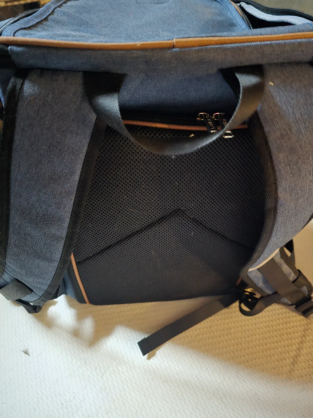 Cat, SM Dog Carrier Backpack - Blue image indicator(3)