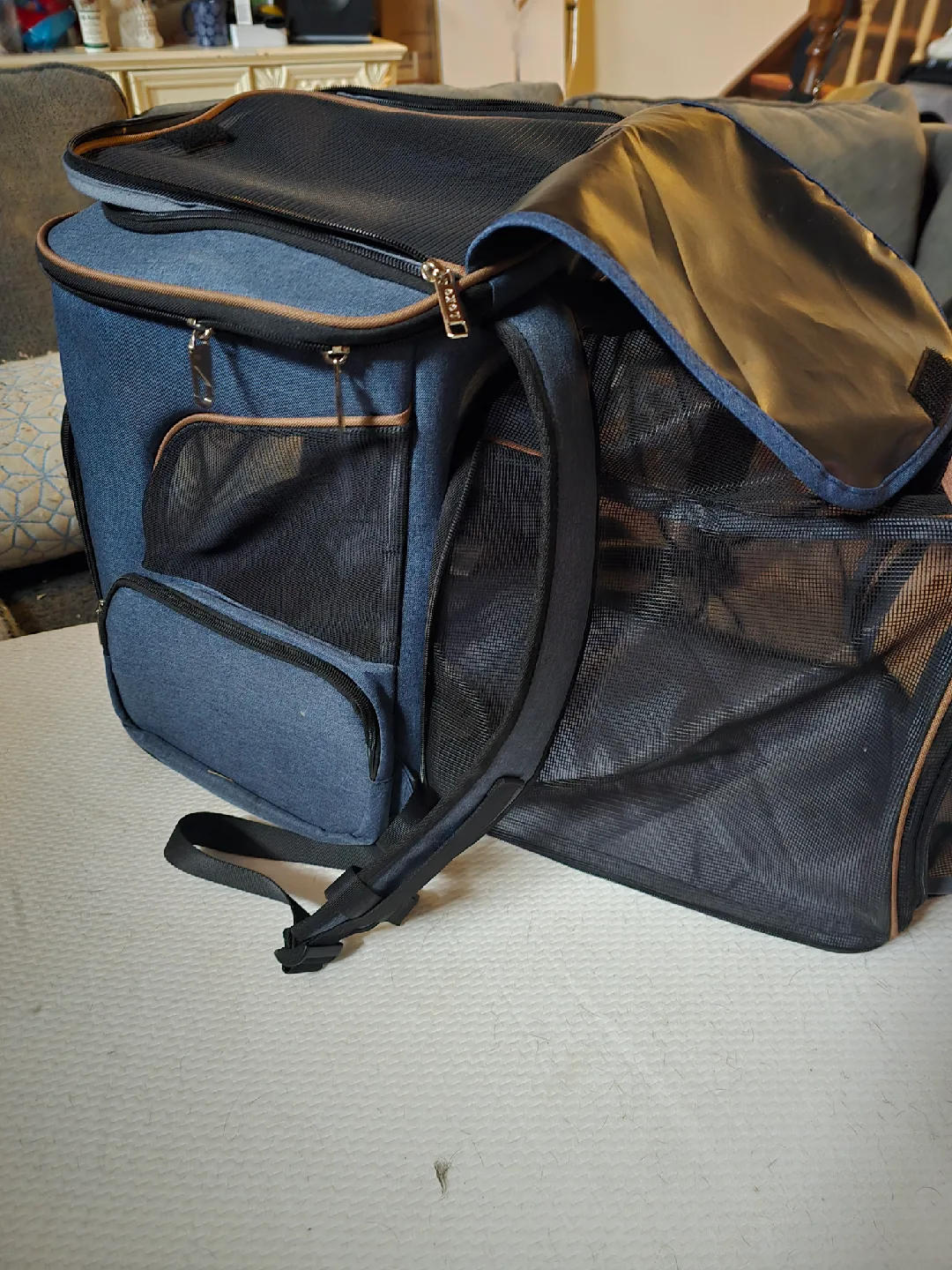 Cat, SM Dog Carrier Backpack - Blue image indicator(5)