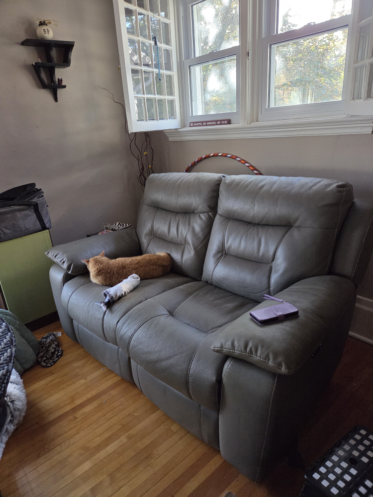 🥕  Grey Leather Reclining Loveseat