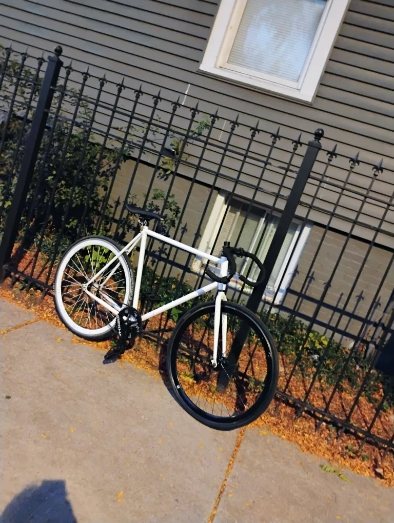 White Retrospect fixie image indicator(6)