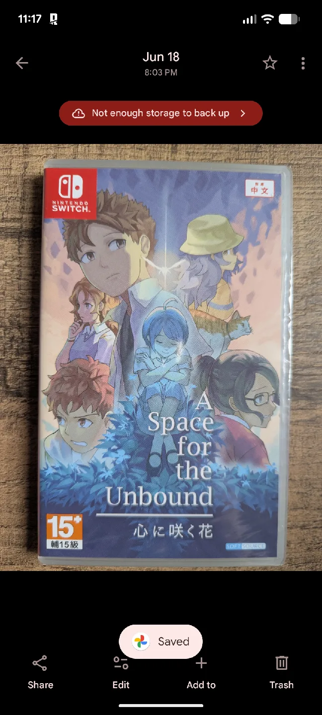 Nintendo switch A Space for the Unbound thumbnail