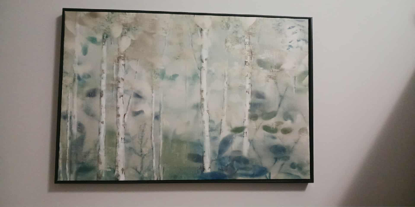 Framed Birch Tree Wall Art