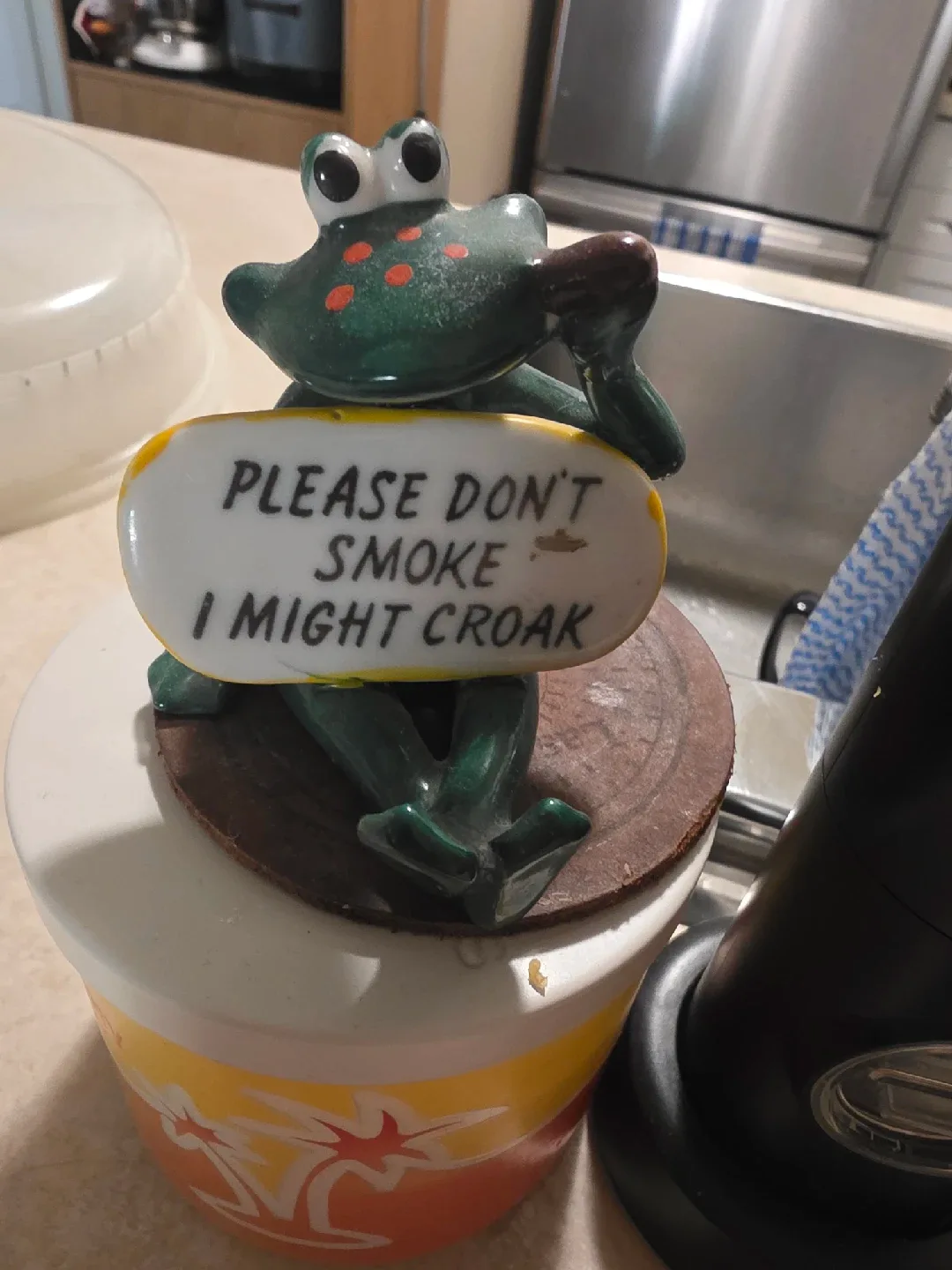 Frog Ashtray - Please Don't Smoke