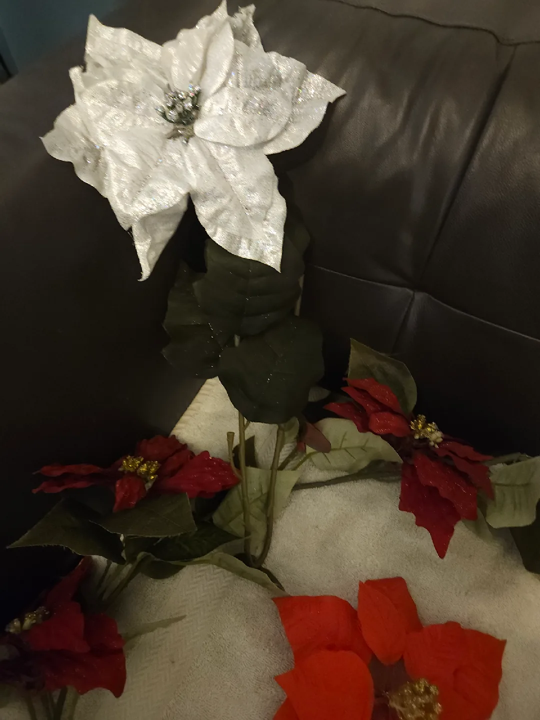 Poinsettia Garland and Flowers image indicator(2)
