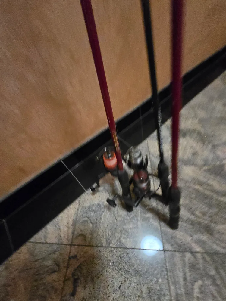 3  Fishing Rods -$50 for all image indicator(5)