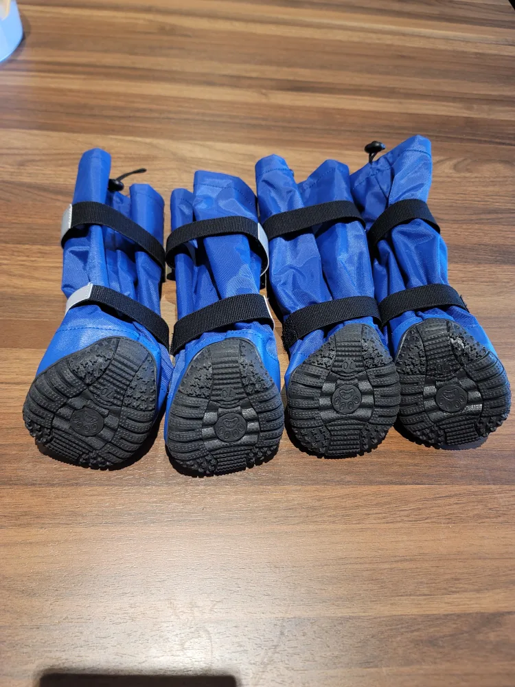 🥕 Blue Dog Boots image indicator(2)