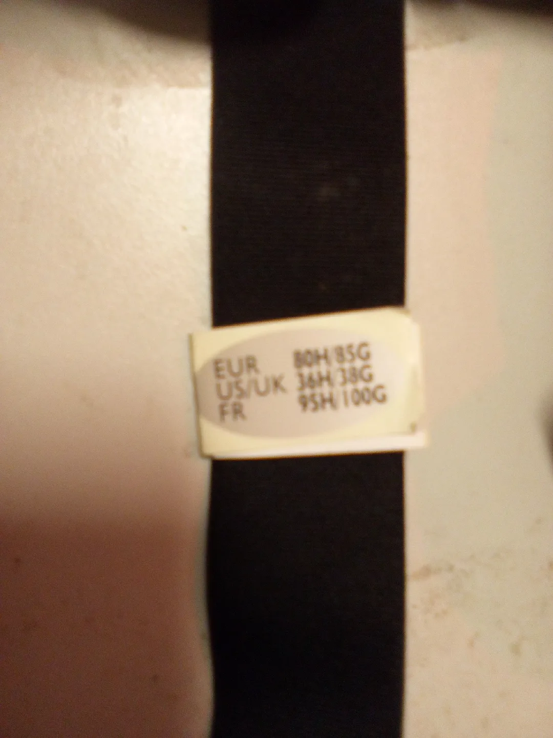 CHANGE Lingerie Black Sports Bra - Size 36H image indicator(3)