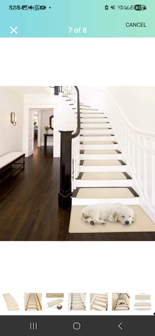 Beige Stair Treads - Set of 14 image indicator(7)