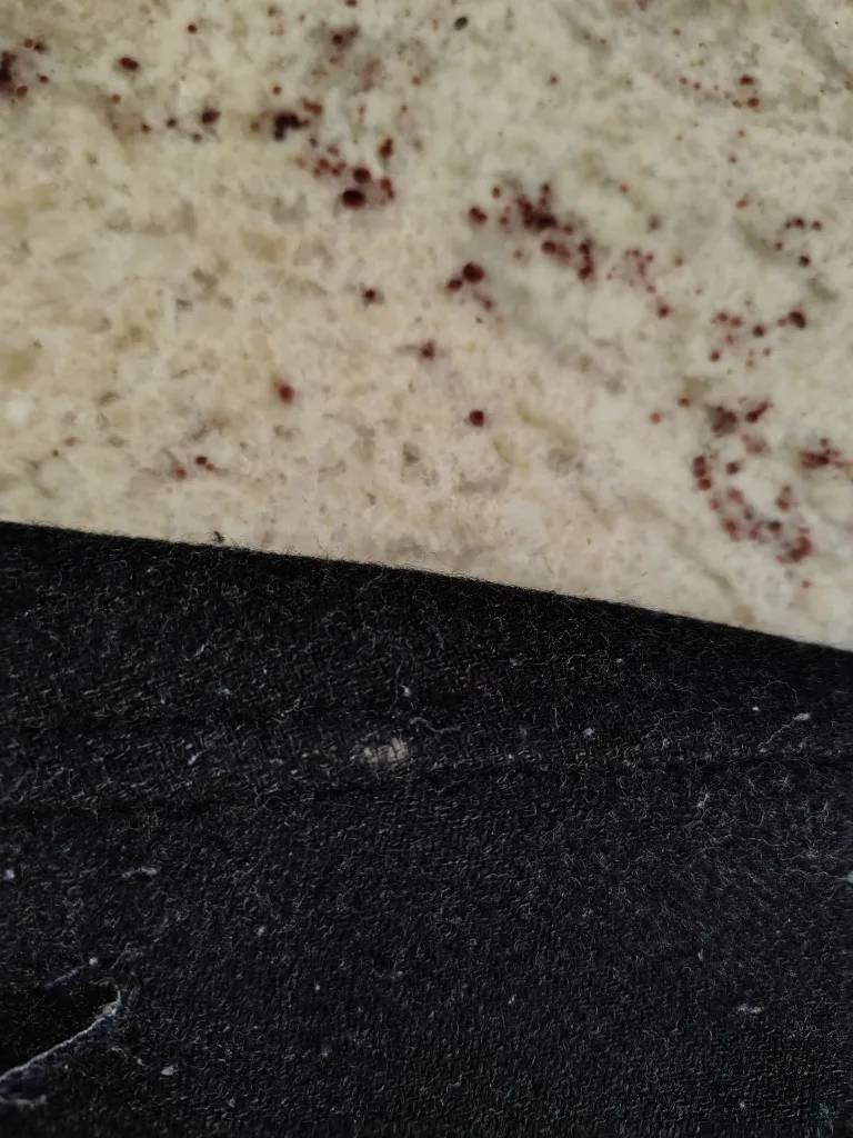 Classic Vintage Aritzia Babaton Coat – Italian Wool Blend (XS) image indicator(6)