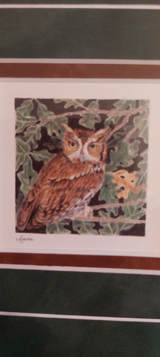 Framed Owl Print - photo 2