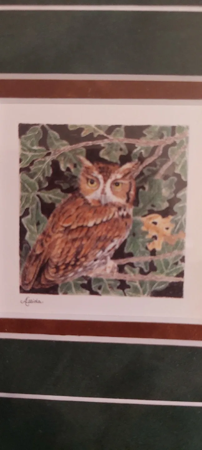 Framed Owl Print image indicator(2)
