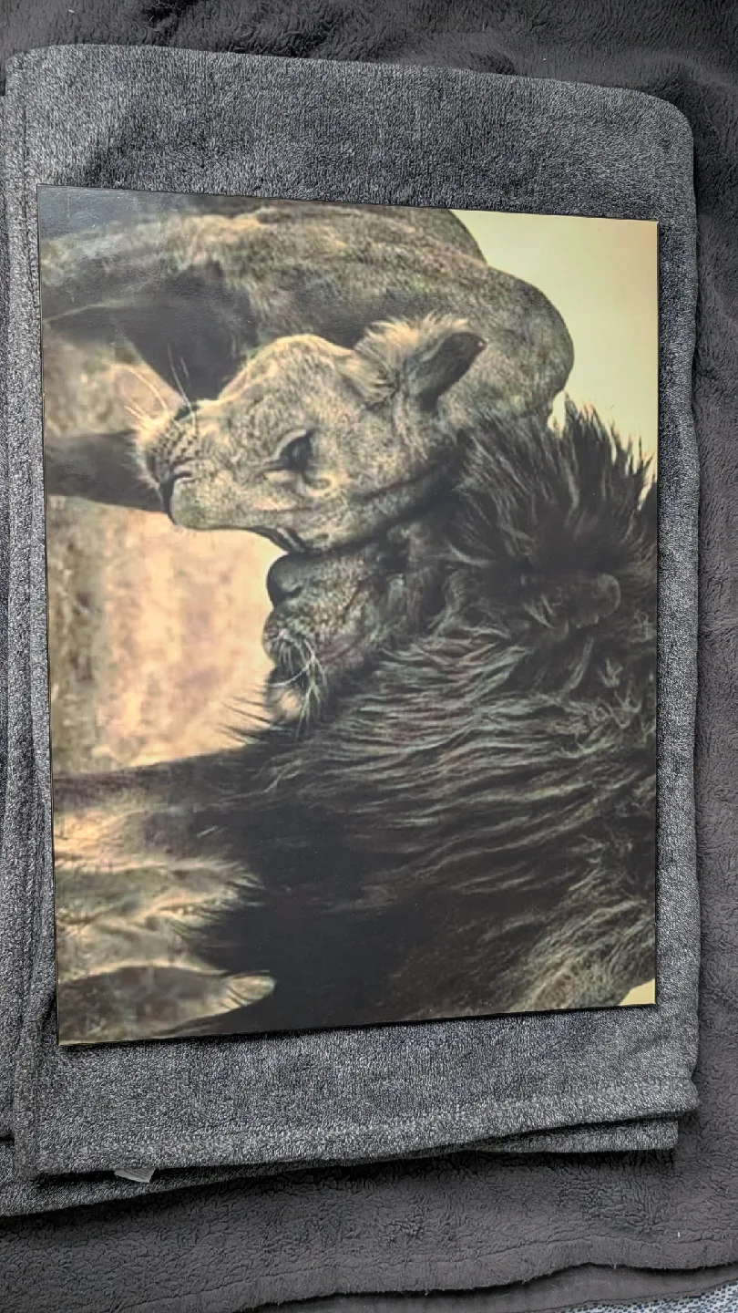 Lion Canvas Print thumbnail