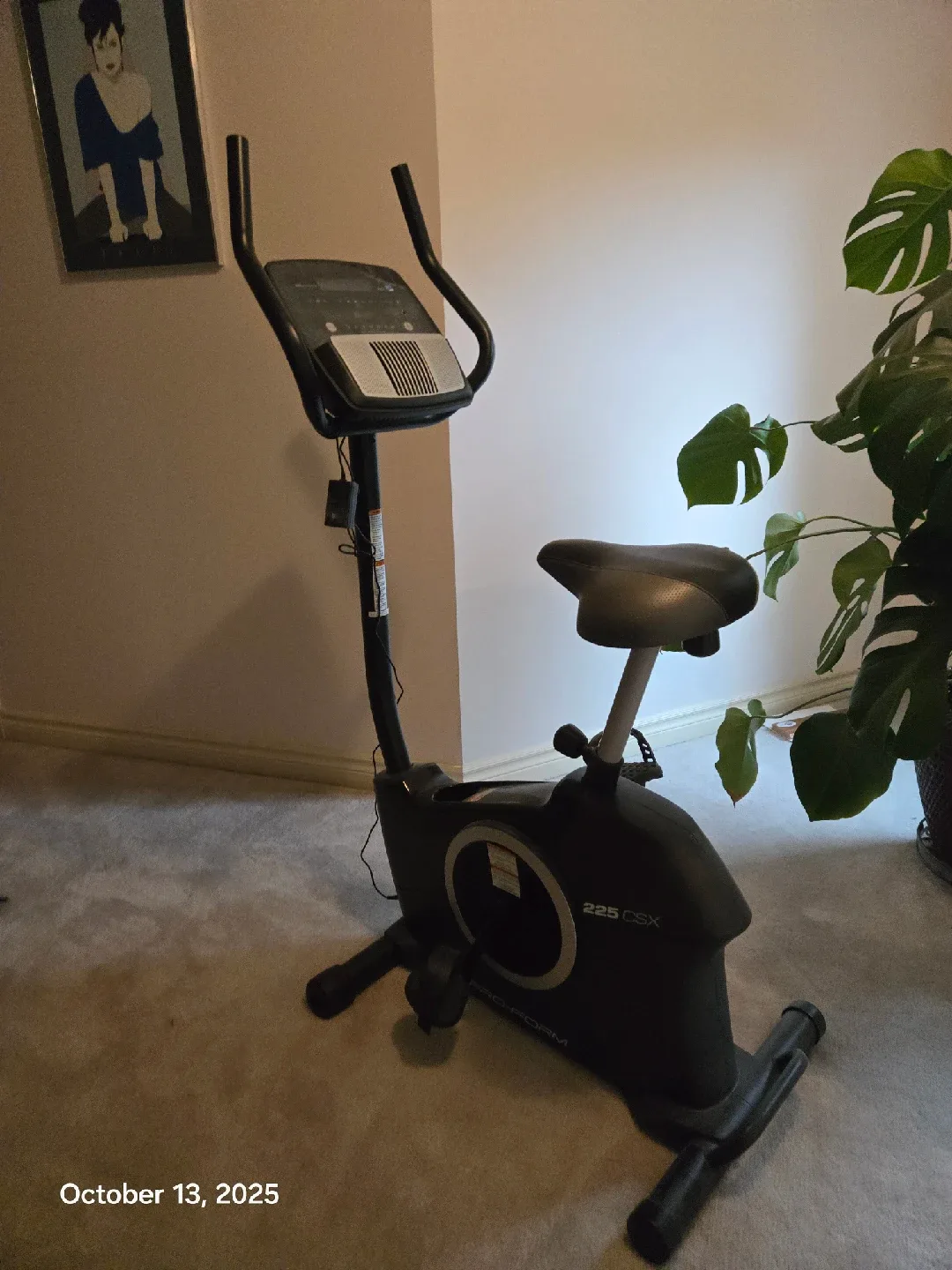 Pro-Form 225 CSX Exercise Bike image indicator(3)