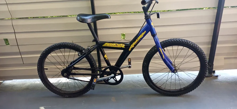 20 inch Bike thumbnail
