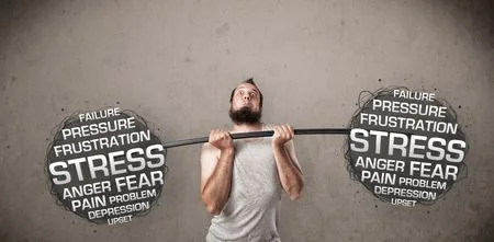 🦍🦧🦍Sportneer Exercise Pull-Up Bar (FREE 🎁 INCLUDED) 🦍🦧🦍 thumbnail