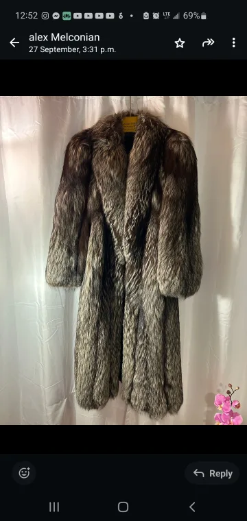 Vintage Fur Coat image indicator(5)