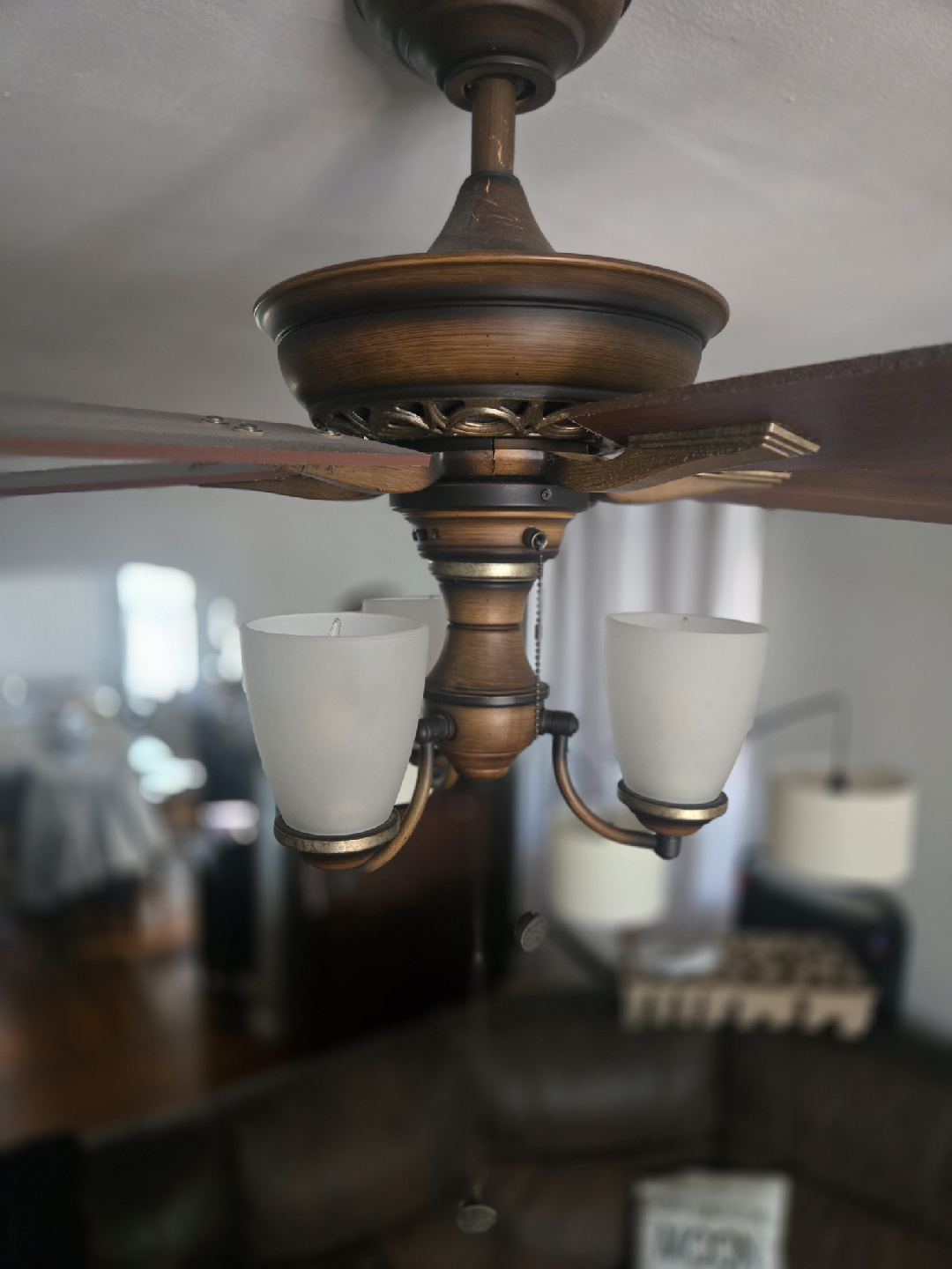 Ceiling Fan with Lights - photo 2