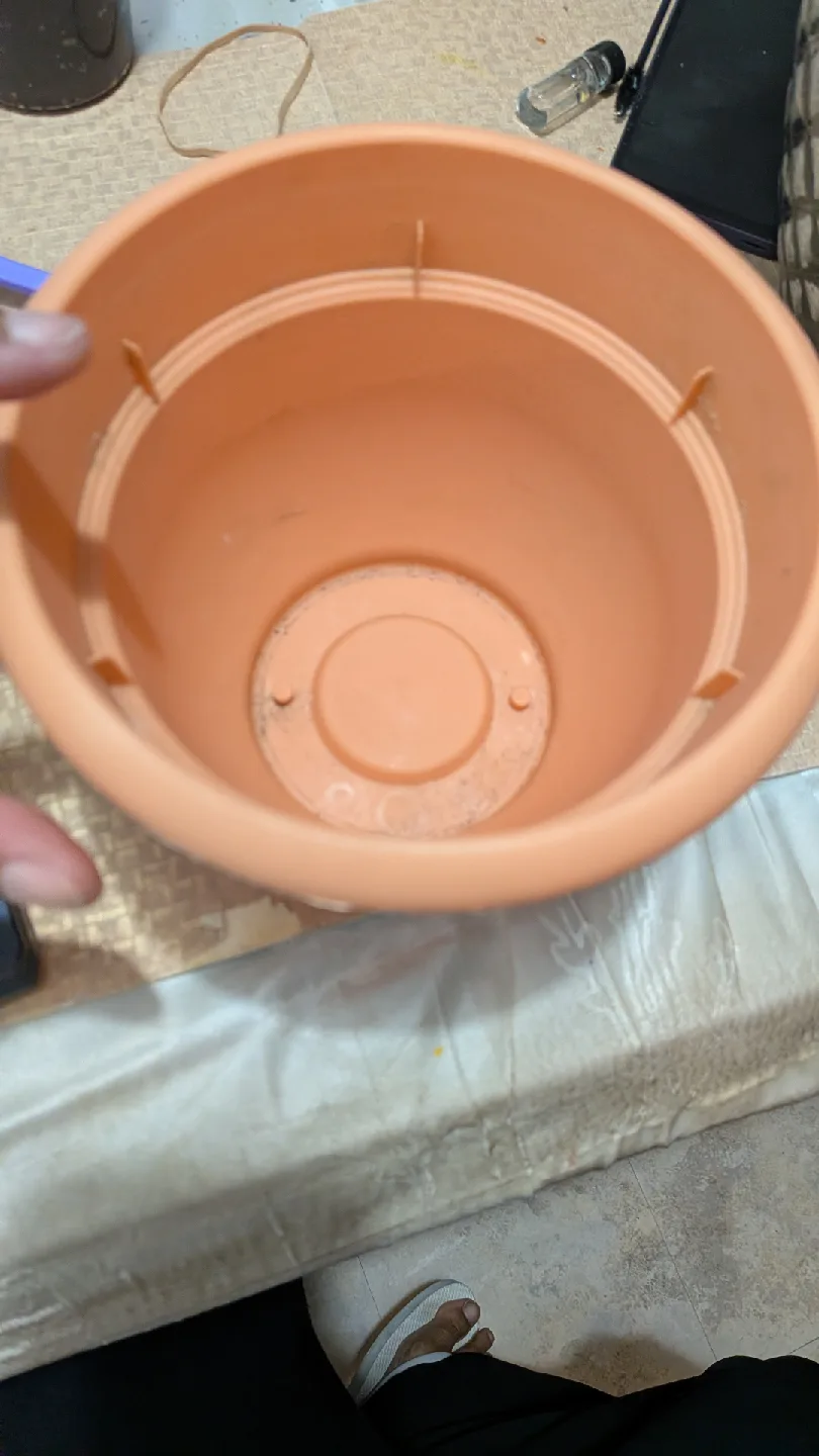 6" Bloem Living Ariana Muted Terra Planter image indicator(2)