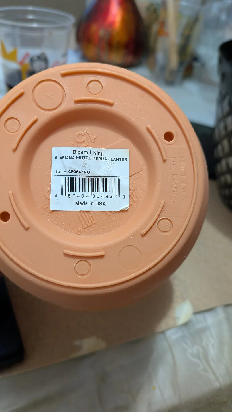 6" Bloem Living Ariana Muted Terra Planter image indicator(3)