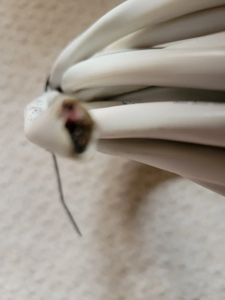 Electrical Wire - White NMD 90