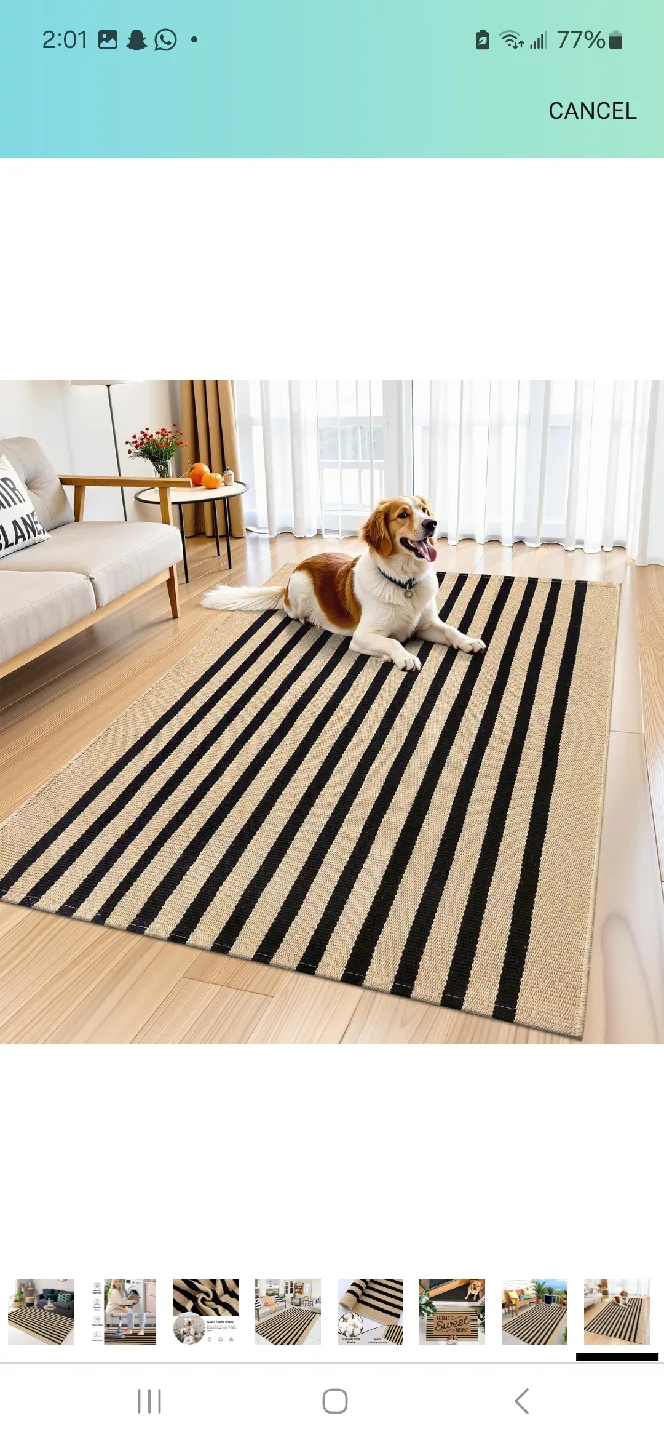 Striped Cotton Rug - Black and Beige image indicator(8)