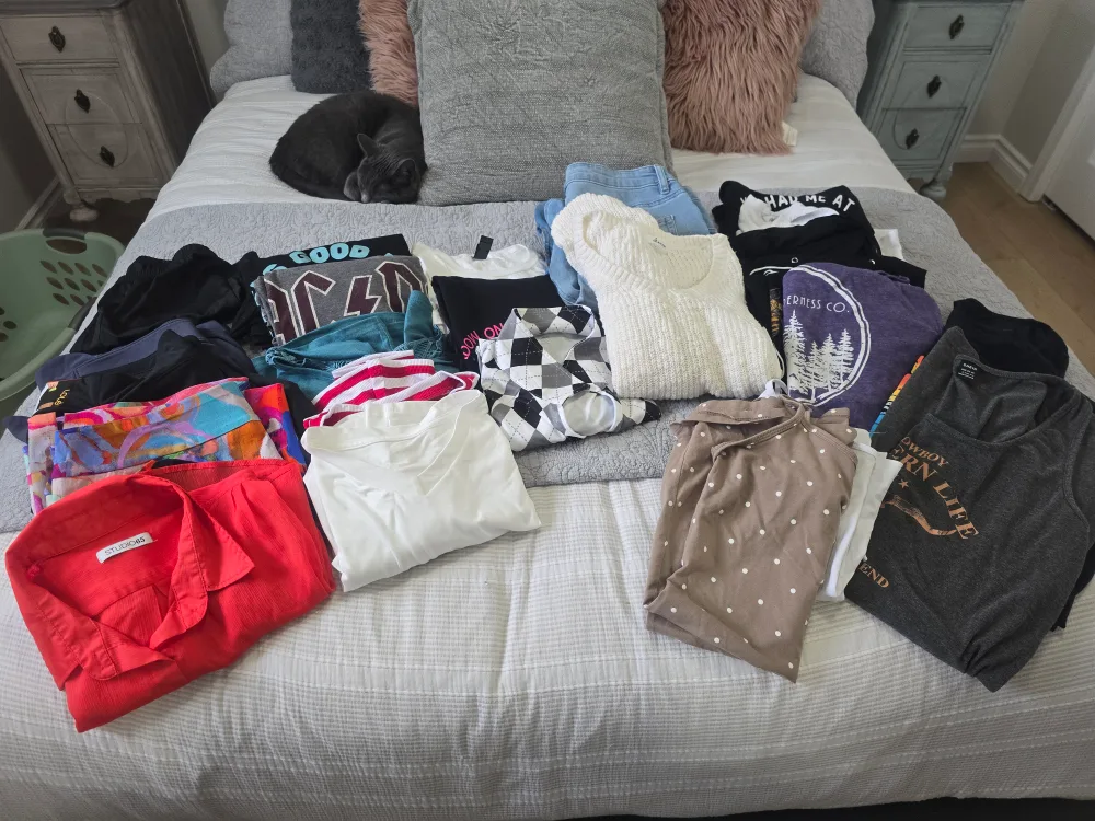 Mixed Clothing Lot - Various Brands and Sizes