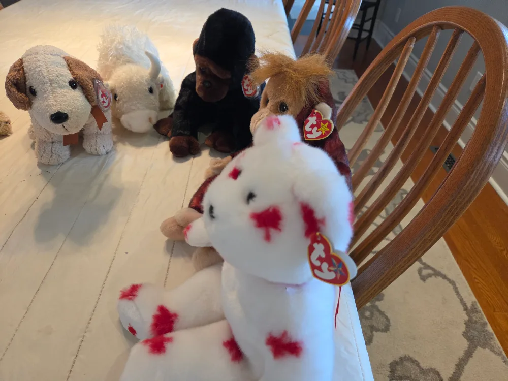 Ty Beanie Babies Collection image indicator(4)