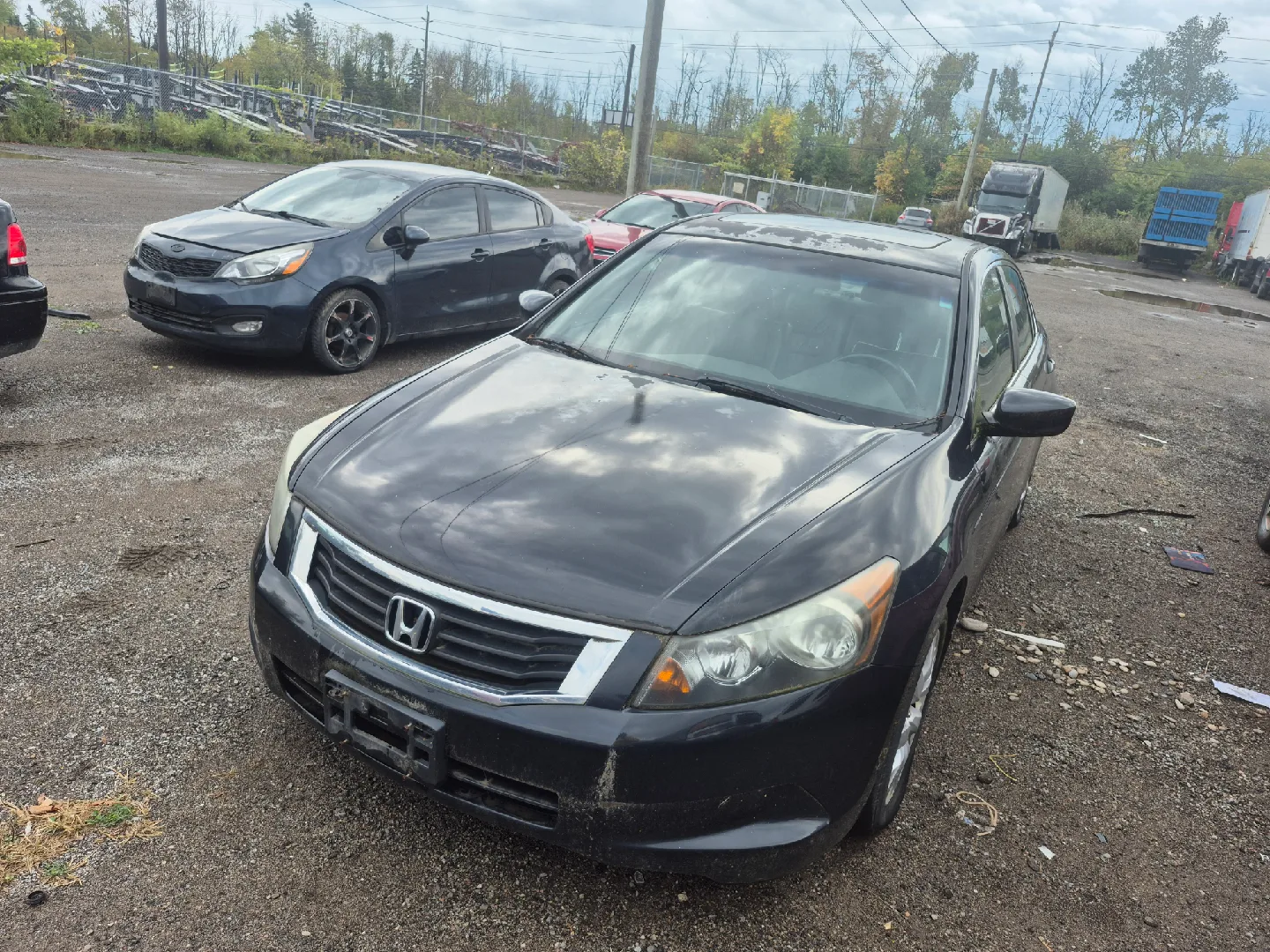 2008 Honda Accord Car - Black image indicator(2)